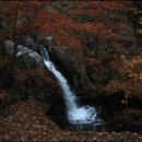 치인 야영장 이미지