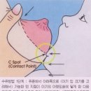 맘스리베모유육아상담실