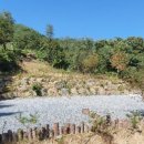 별그리다펜션 이미지