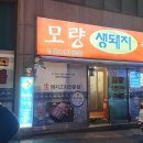 착한생돼지 이미지