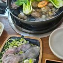 생명의 바다 1.2 이미지