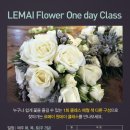 르메이플라워