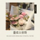 유화 | [대전 둔산동 꽃집] 플로스유화 방문 후기