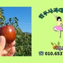 복어잡는사람들 두류점 이미지