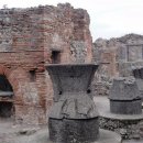 오늘밥상 이미지