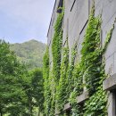 삼척활기자연휴양림 이미지