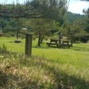 심스캐빈 이미지