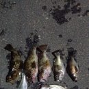 휴 펜션 해양 이미지