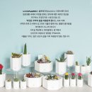 위드플랜츠 이미지