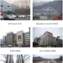 서초영어체험공원 Daum카페