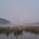 사계지낚시터 이미지