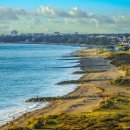 매곡초등 이미지