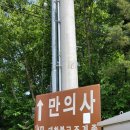 무봉산만의사 40개월 인생 첫 등산 숲속친구들 만난 후기