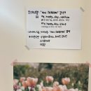 마이해피데이