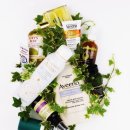 뷰티에코 코리아 이미지