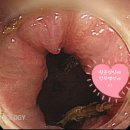 생선이야기 이미지