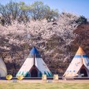 힐 스프링 이미지