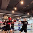 카이안복싱PT프리미엄GYM 이미지
