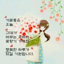 또이스치킨찜닭 - 평창군 올림픽로 56 | 또이스치킨찜닭