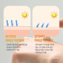 톤업코스메틱 이미지