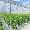 남포농장 이미지