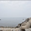 정겨운민박 이미지