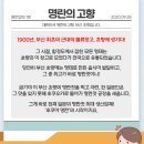 부산데이트 초량 이바구길 명란셀프쿠킹 이색데이트