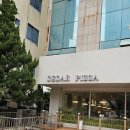 제주 노형 맛집 씨더피자, 메뉴부터 분위기까지 솔직 후기