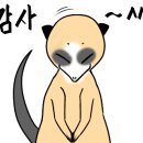 헬리아호텔 이미지