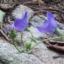 천식농장 이미지