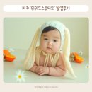 파주아기사진 위위드스튜디오 200일촬영 일산베이비스튜디오