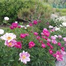 숲속정원 이미지