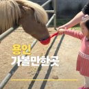 ㈜우리자동차 | 경기도 용인 가볼만한곳 딸기체험 실내 동물원 포레스트벨