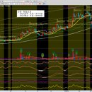 우진트레이딩 이미지