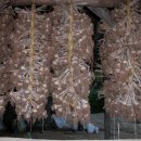 가마실마을 이미지