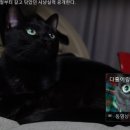 알콩달콩 이미지