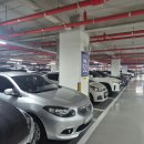 미추홀대로 662 건너편 횡단보도 | 인천 으뜸동물의료센터