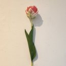 루주 티스토리