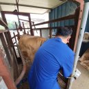 한우개량센터 이미지