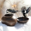 새자람작은도서관 이미지