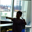 돌고래와 특별한 추억을 만들수 있는 돌고래 체험관 제주&#39;마린파크&#39; 이미지