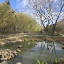 태화강 철새공원 이미지