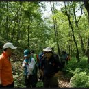 용산-249 이미지