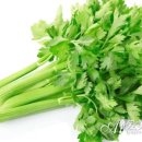 셀러리 이미지