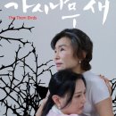 영화 ‘가시나무새’ 효녀인가? 안락사 살인인가? 이미지