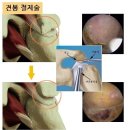강북연세정형외과의원 이미지