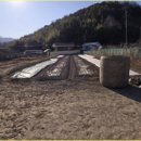 미래법률경매정보 부동산중개법인 | 주말체험영농지 최적! 반값도 안되는 토지(공부상 '답' 현황은 '전' / 영천시 북안면 명주리(감정가 34%...