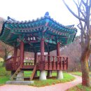 삼일탕 이미지