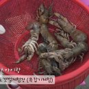 삼동면 전도3 이미지