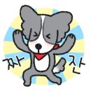 가평송어횟집 이미지